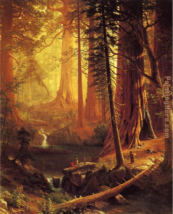 Giant Redwood Trees of California painting - Albert Bierstadt Giant Redwood Trees of California art painting